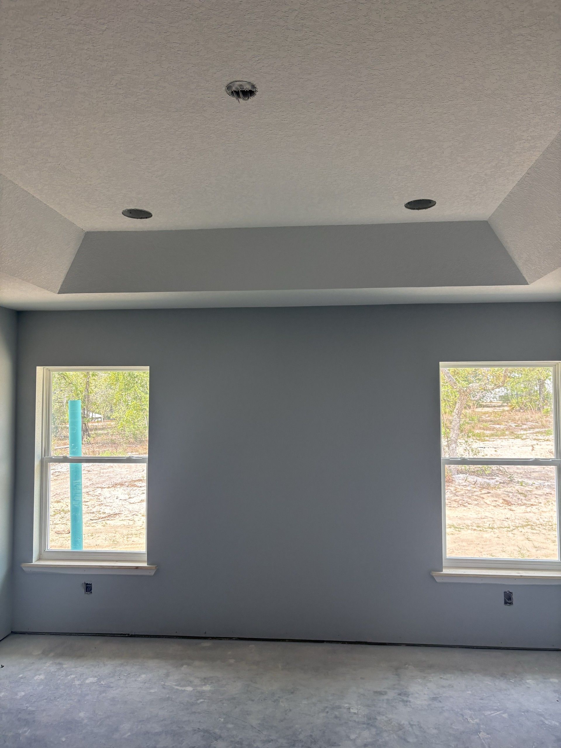 Bedroom with a tray ceiling, gray painted walls, and two double-hung windows overlooking a sandy yard